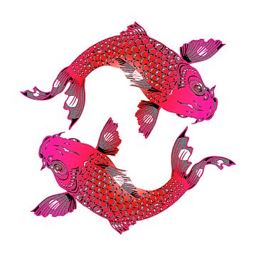 Artwork thumbnail, Balanced - Koi Yin Yang by RosieRiggs