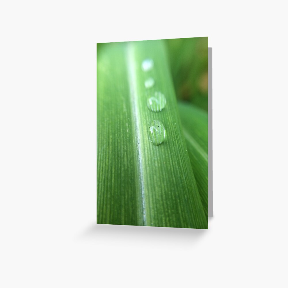 Item preview, Greeting Card designed and sold by artherapieca.