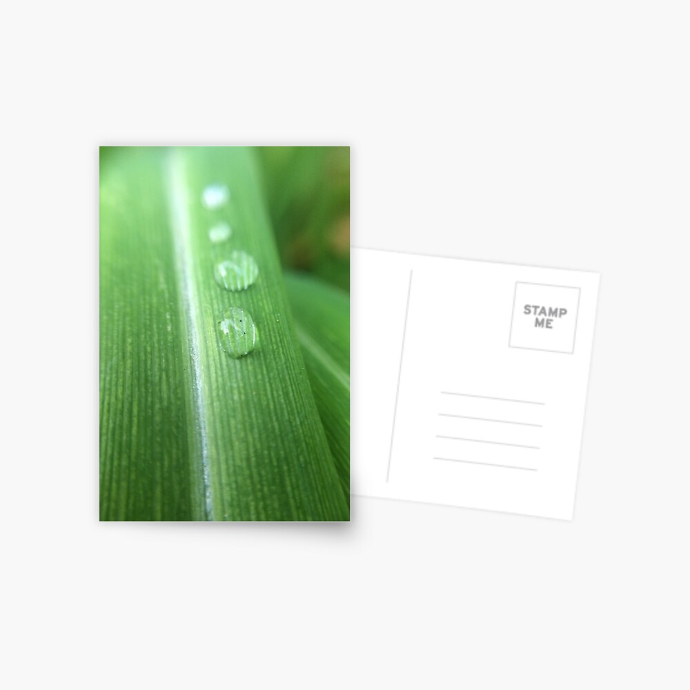 Item preview, Postcard designed and sold by artherapieca.