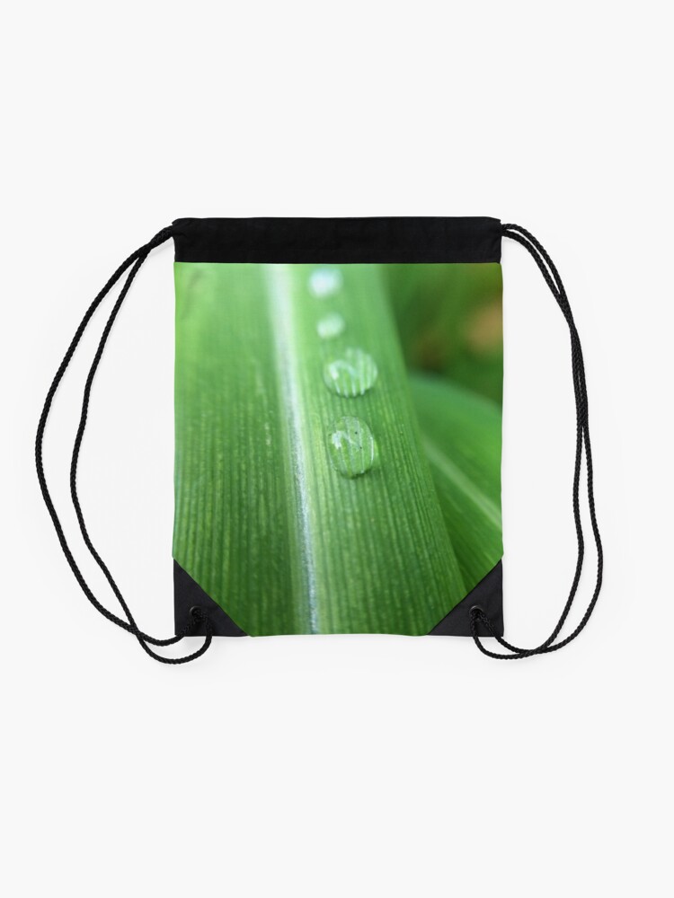 Thumbnail 2 of 3, Drawstring Bag, Morning roser designed and sold by artherapieca.