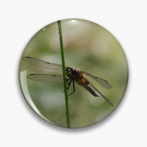 Item preview, Dragonfly on a Stem designed and sold by GingerMan2550.