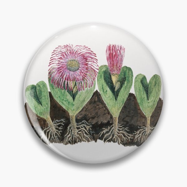 Item preview, Mesembbryanthemum testiculare by Robert Jacob Gordon designed and sold by Fiona-Lynn Designs.
