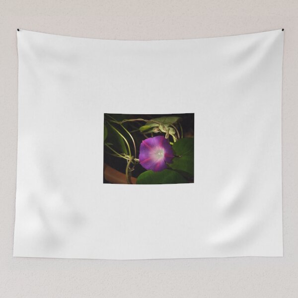 Item preview, Mourning Glory designed and sold by Barry Doherty.