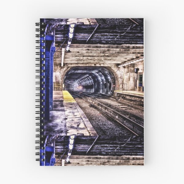 Item preview, Looking Into Mouth of Empty Grungy Blueline Subway Tunnel Boston MBTA designed and sold by Stephen Orsillo.
