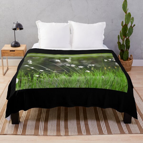 Item preview, By a little pond. Hare's-tail cottongrass designed and sold by Jouko Lehto Photography.
