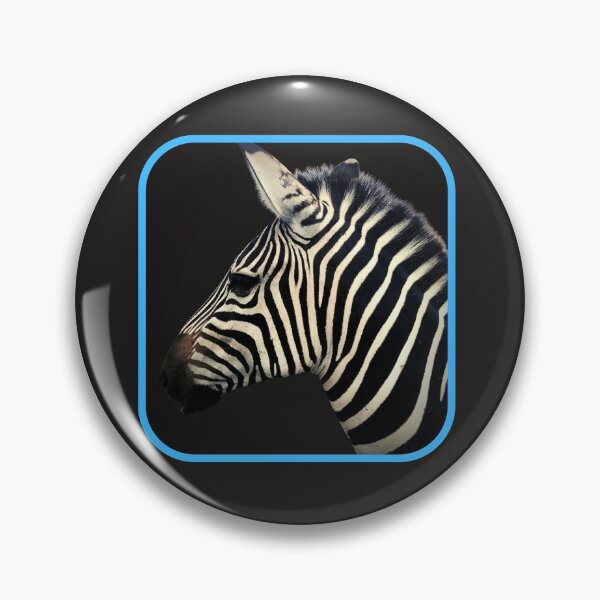 Item preview, Zebra Original Photography Art by Texanlisa designed and sold by speakupandshine.