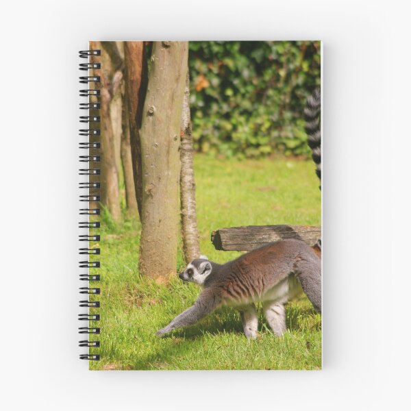 Item preview, Ring Tailed Lemur designed and sold by brimel55.