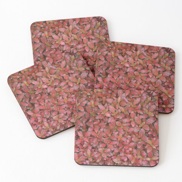 Item preview, Natural Abstracts - Variegated Leaves - July 2021 designed and sold by RedHillDigital.