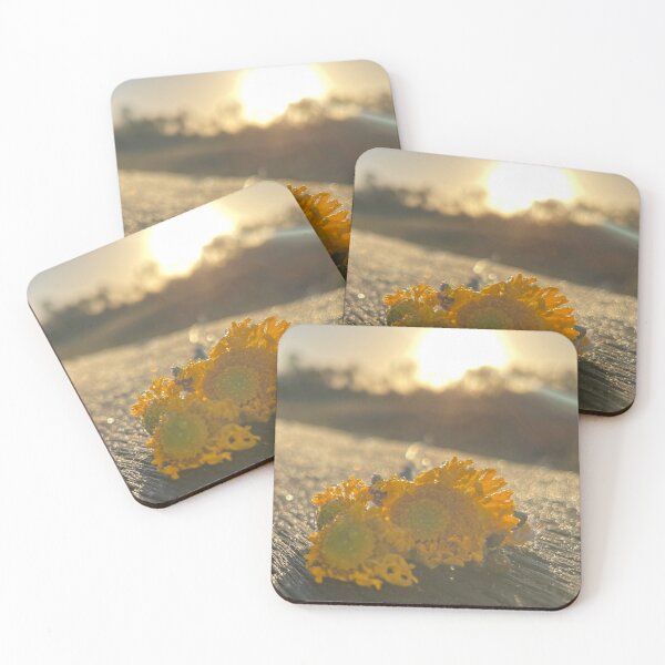Item preview, Before You Go designed and sold by mjess413.