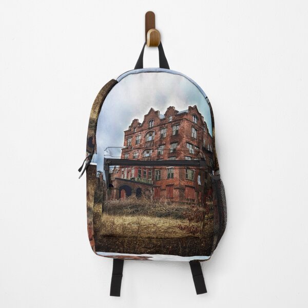Item preview, Main Building of  Northampton State Hospital Insane Asylum designed and sold by Stephen Orsillo.