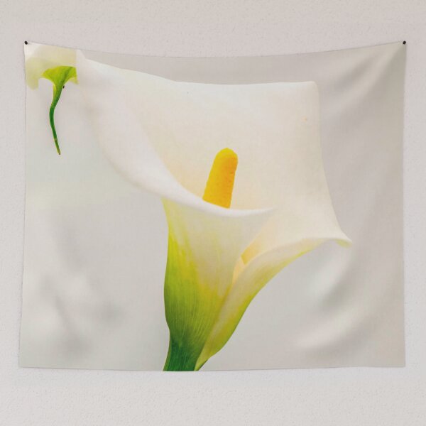 Item preview, White lilies bloom flower  designed and sold by JD369.