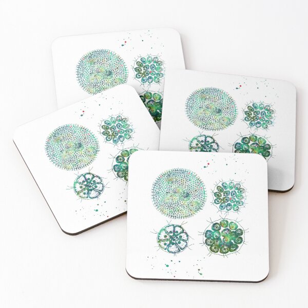 Item preview, Colonial Green Algaes, Volvox Pandorina Eudorina Gonium designed and sold by EvasDreams.