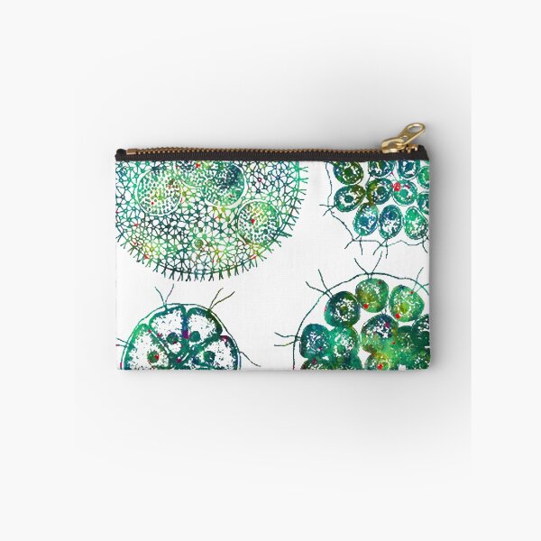 Item preview, Colonial Green Algaes, Volvox Pandorina Eudorina Gonium designed and sold by EvasDreams.