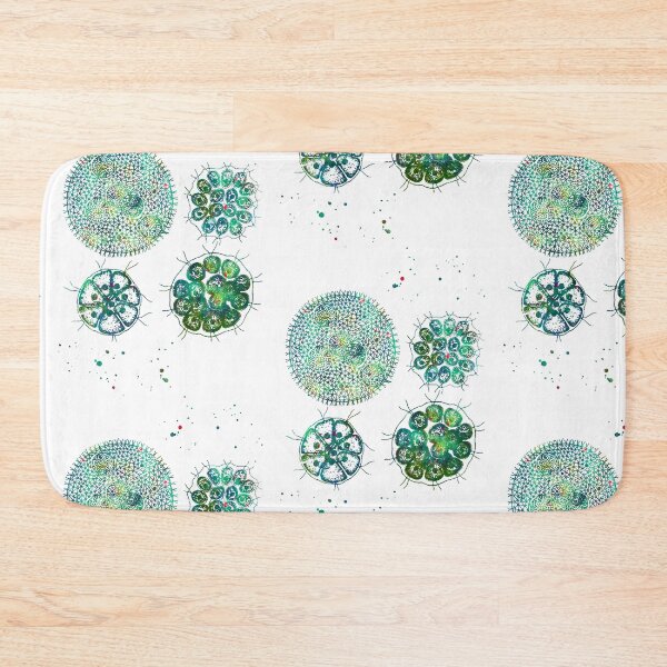 Item preview, Colonial Green Algaes, Volvox Pandorina Eudorina Gonium designed and sold by EvasDreams.