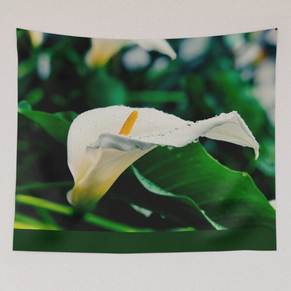 Item preview, White lily flower  designed and sold by JD369.