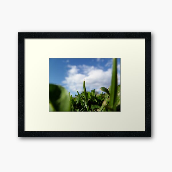 Item preview, Lying amongst the grass designed and sold by rom01.
