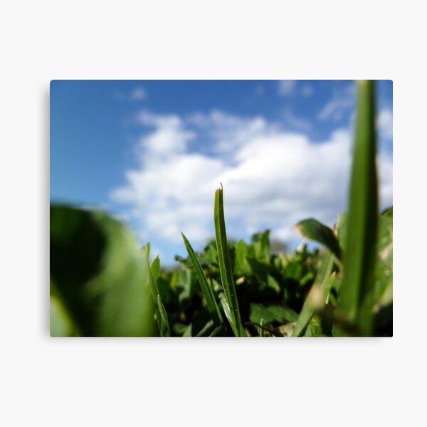 Item preview, Lying amongst the grass designed and sold by rom01.