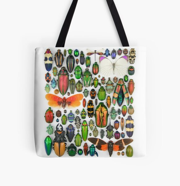 Item preview, Medium Aesthetic Mosaic Insect Display designed and sold by insectcollect.