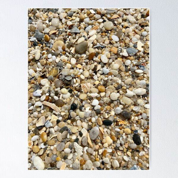 Item preview, Seashells  designed and sold by BOBBYBABE.