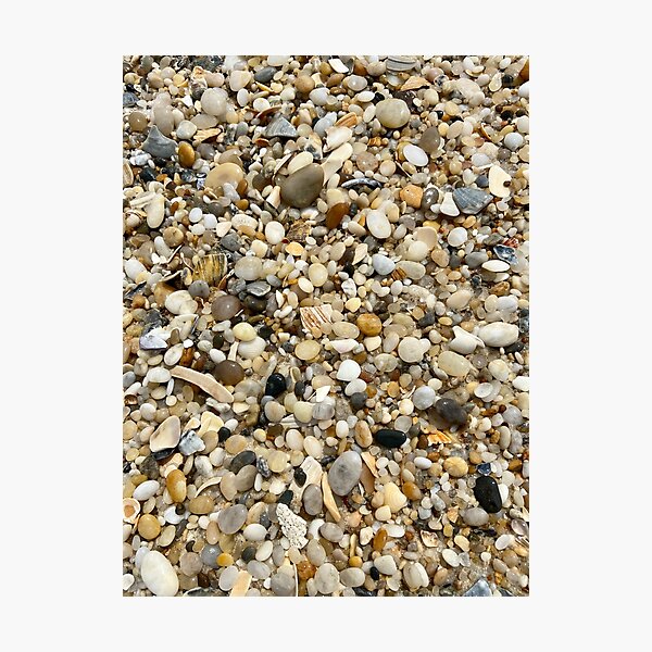 Item preview, Seashells  designed and sold by BOBBYBABE.