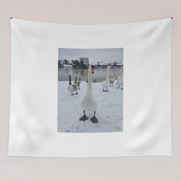 Item preview, Snow Swan designed and sold by MarkGoughImages.