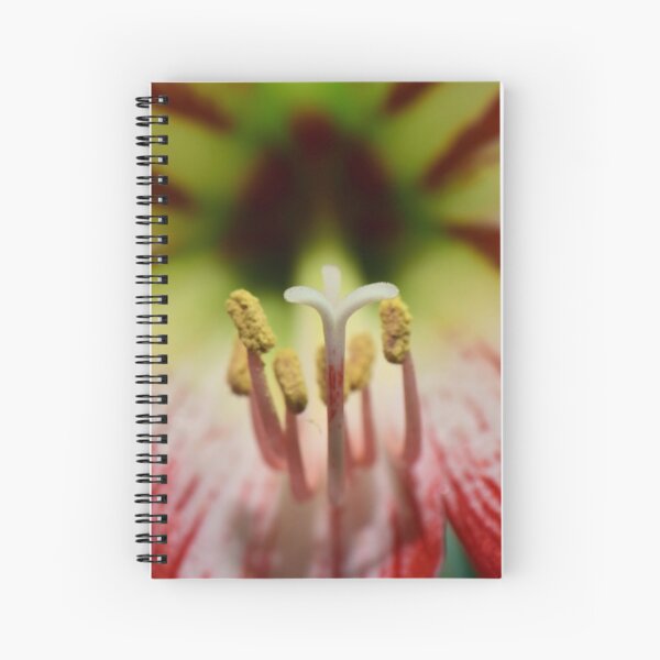 Amaryllis, stigma and stamen Spiral Notebook