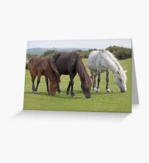 Dartmoor Trio Greeting Card