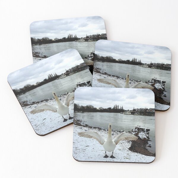Item preview, Snow Swan Showing Off designed and sold by MarkGoughImages.