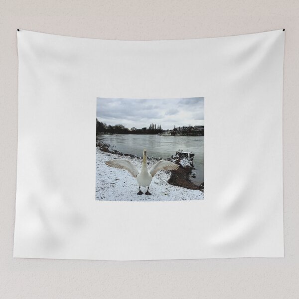 Item preview, Snow Swan Showing Off designed and sold by MarkGoughImages.