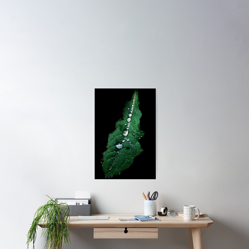 Item preview, Poster designed and sold by aubrierodheim.