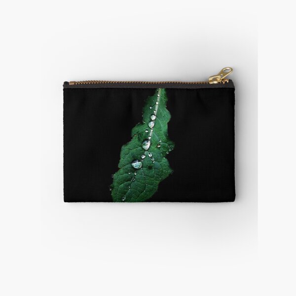 Item preview.