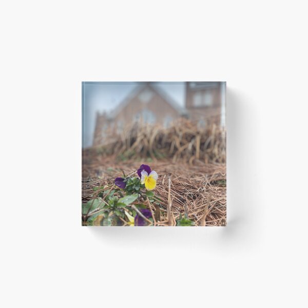 Item preview, Spring to Life designed and sold by PhotoSoulSister.