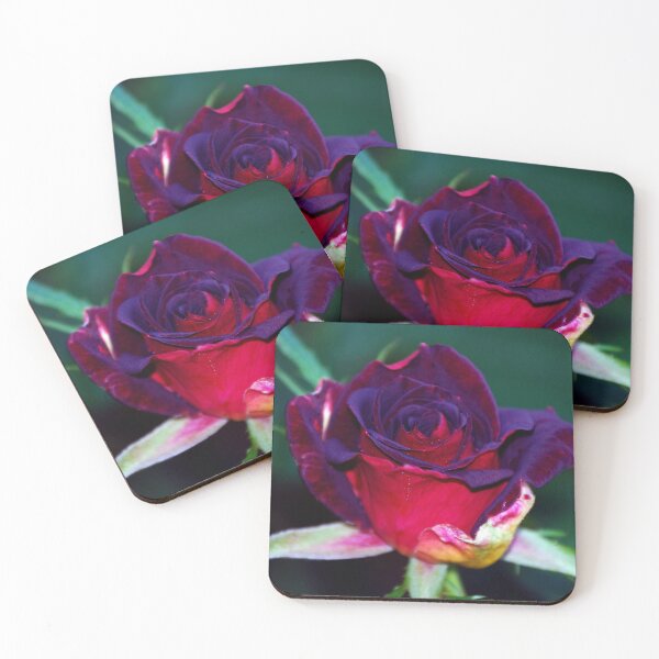 Item preview, a black rose designed and sold by treborbob.
