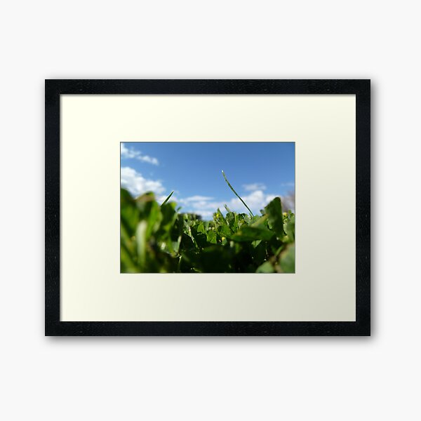 Item preview, Lying Amongst the Grass II designed and sold by rom01.