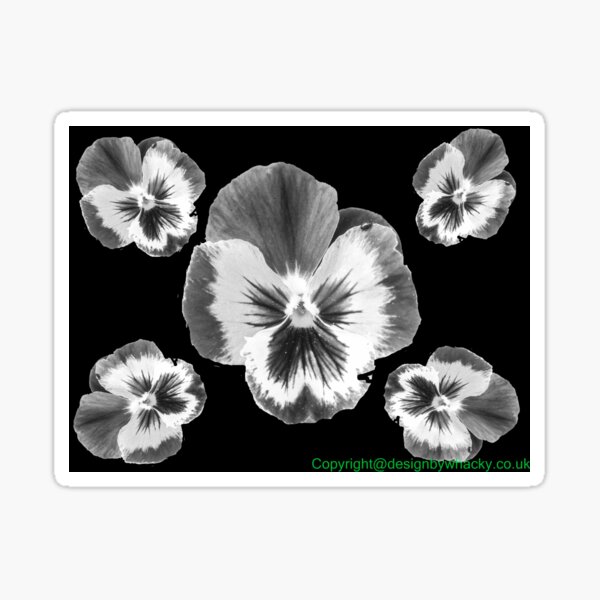 cinq fleur Sticker