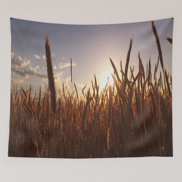 Item preview, Serene Country Sunset designed and sold by J-KAP.