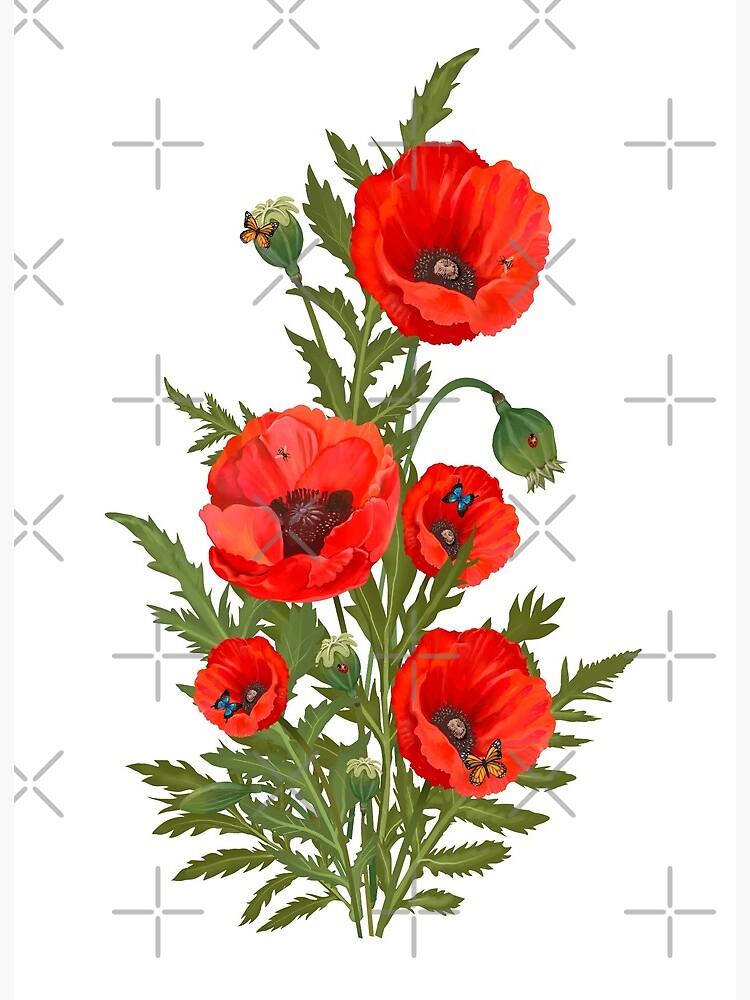 Poppy Flower - California Poppies Art Board Print for Sale by