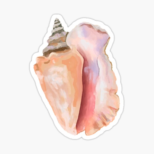 Artikel-Vorschau von Aquarell Muschelschale, designt und verkauft von AundryaManglona.