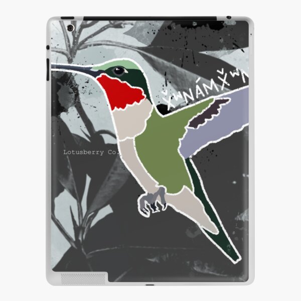 Indigenous Hummingbird iPad Skin