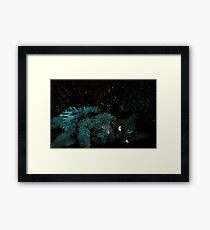 WDVP - 0015 - G 2 Framed Print