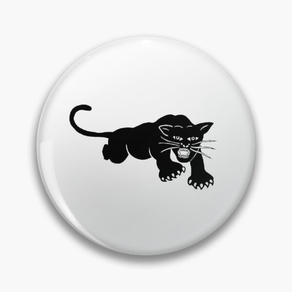 Pin on Panther Pets