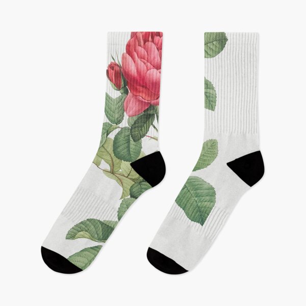 Item preview, Les Roses by Pierre-Joseph Redouté designed and sold by EsotericBotanic.
