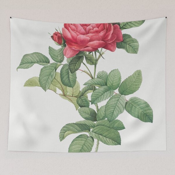 Item preview, Les Roses by Pierre-Joseph Redouté designed and sold by EsotericBotanic.