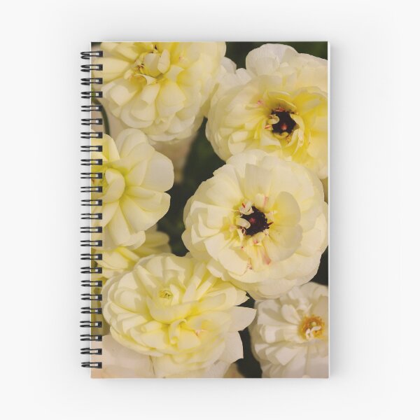 Item preview, Limón Ranunculus designed and sold by ppddesigns.