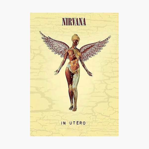 In Concert Utero Photographic Print