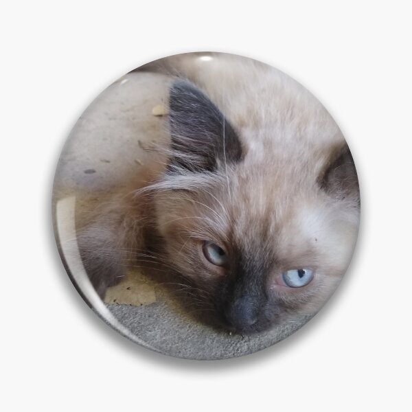 Item preview, Siamese Dreams designed and sold by VioletVends.