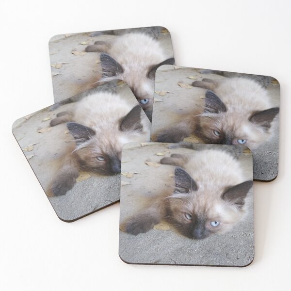 Item preview, Siamese Dreams designed and sold by VioletVends.