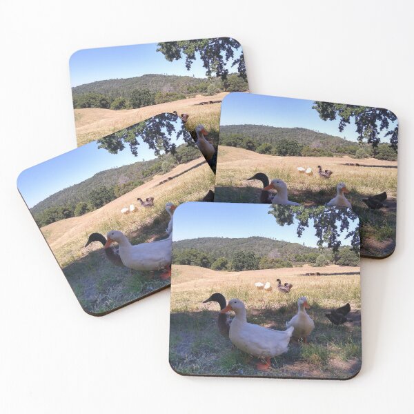 Item preview, Farm ducks designed and sold by VioletVends.