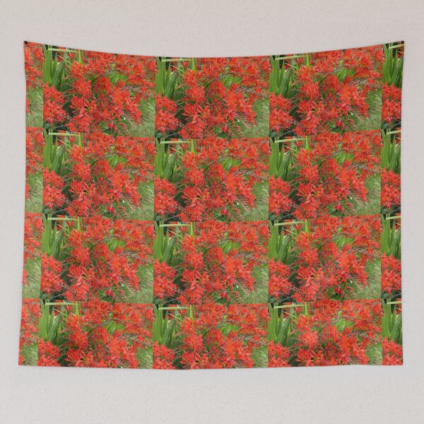 Item preview, Montbretia designed and sold by Fara.