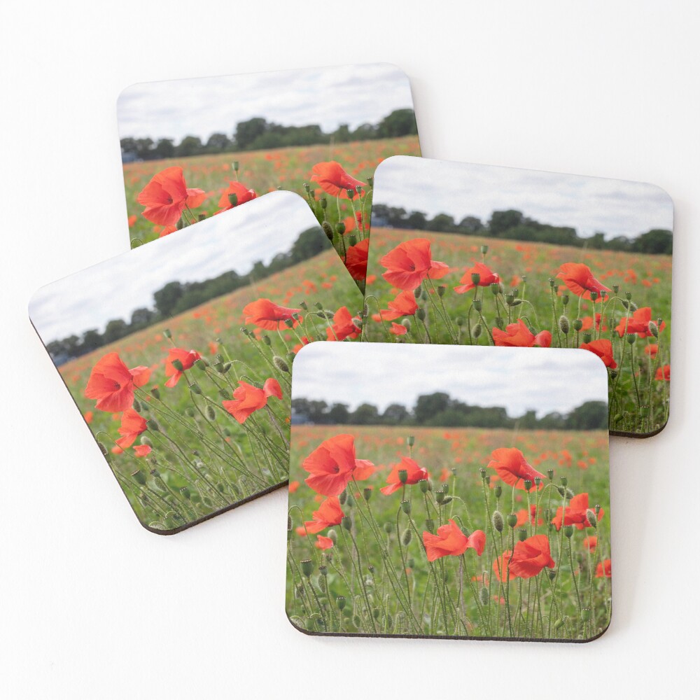 A close up of poppies in a poppy field Coasters (Set of 4)
